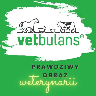vetbulans 21# KULAWIZNA u krowy 🐄 | ? Jak przeciwdziałać? | Czy regularna KOREKCJA wystarczy?