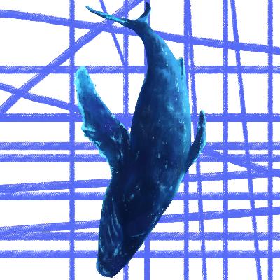 Blue Whale Sound for Sleep