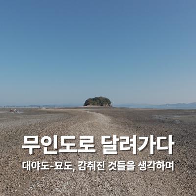 [평범한 아침의 비범함] 무인도로 달려가다: 대야도-묘도, 감춰진 것들을 생각하며