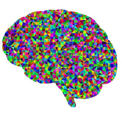 CBD (cannabidiol) for Epilepsy in Dogs