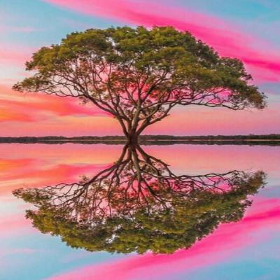 3000 Life States in Every Moment