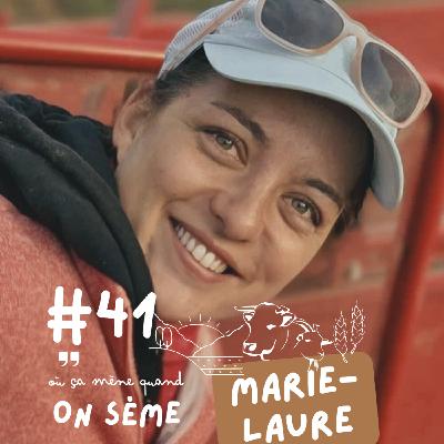 Marie-Laure : entre chiffres et champs, trouver l’équilibre dans une ferme céréalière familiale Marie-Laure : entre chiffres et champs, trouver l’équilibre dans une ferme céréalière familiale