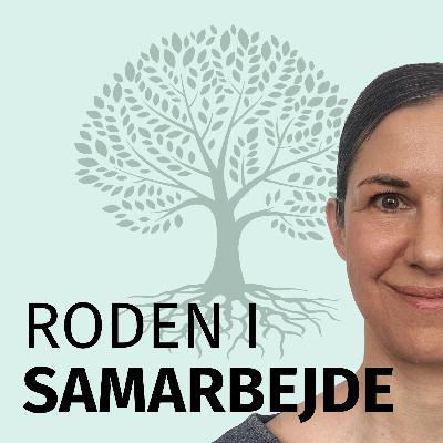 6: Du skal samarbejde, som var du en jagerpilot - med Søren Sørensen 6: Du skal samarbejde, som var du en jagerpilot - med Søren Sørensen