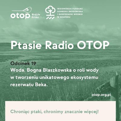 Odc. 19 | Woda. Bogna Błaszkowska o roli wody w tworzeniu unikatowego ekosystemu rezerwatu Beka