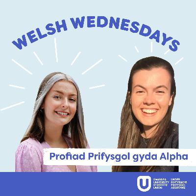 Profiad Prifysgol gyda Alpha