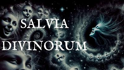 El Rostro de una Diosa | Salvia Divinorum 60x El Rostro de una Diosa | Salvia Divinorum 60x