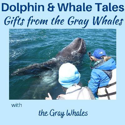 5 Gifts from the Gray Whales