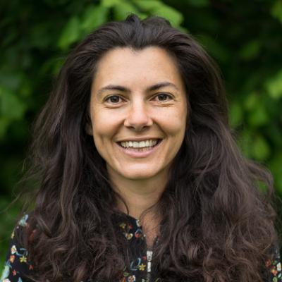 {ENTREVUE} - Wikipédia, ce pouvoir discret qui façonne les réputations