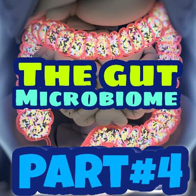 Part 4 of 4 with Dr. Gut on n the Gut Microbiome