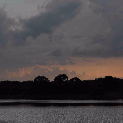 Gentle Night at Kasungu National Park, Malawi. (15 min)