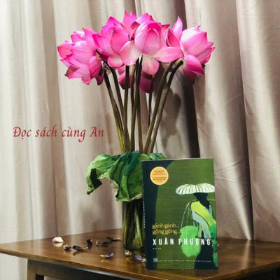 Gánh gánh... gồng gồng...