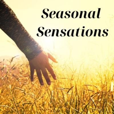 Episode 5 - Midsummer