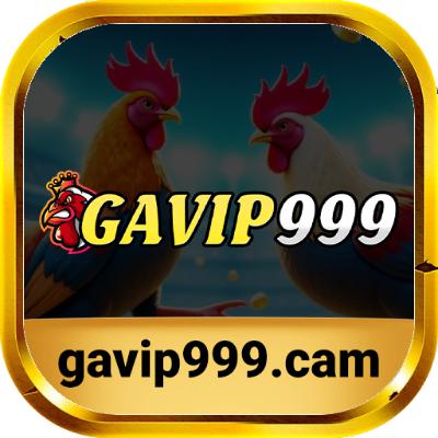 Gavip999 cá cược cầu lông kèo chuẩn