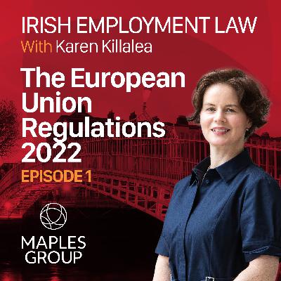 The European Union (Transparent and Predictable Working Conditions) Regulations 2022