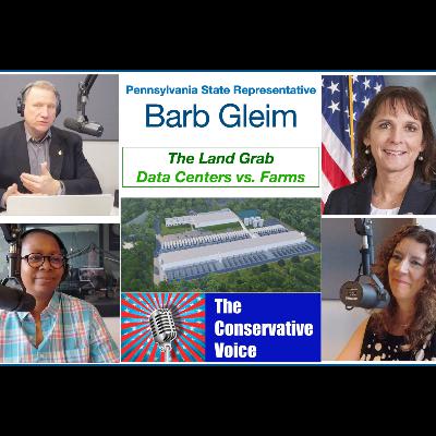 Data Centers are popping up everywhere - Farmland is being destroyed - What can Citizens do?