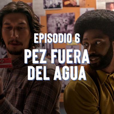 Episodio 6: Pez fuera del agua