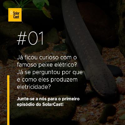 SolarCast 1 - Peixes Elétricos