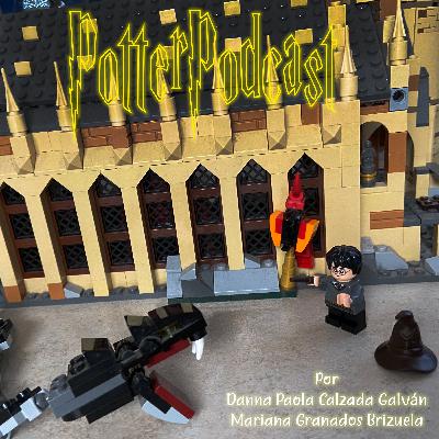 Episodio 2: Harry Potter y la Cámara Secreta