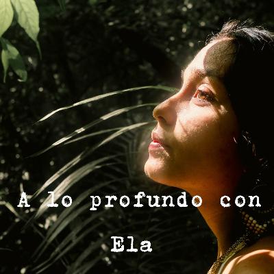 Elegir mi interior