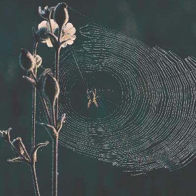 14 – Contrôle et chaos  (Bernard)