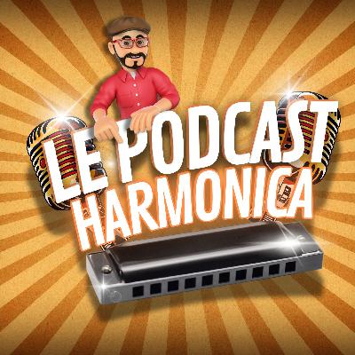 Conseils & astuces pour harmoniciste débutant : Ou commander son premier harmonica sur internet ?