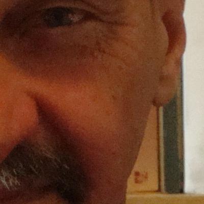 Zła ochrona ptaków chronionych w Kołobrzegu