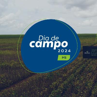 Dia de Campo Brasmax | M5 | MAPITOBAPA