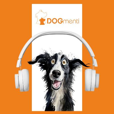 Reaktiv - was bedeutet das eigentlich? Reaktiv - was bedeutet das eigentlich?