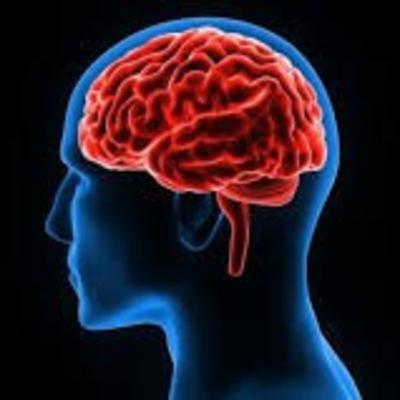 Cerebro y adicciones segunda parte con expertos
