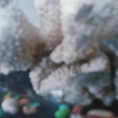 Kita Lupa, Kita Siapa - Podcast Gilang Gemilang