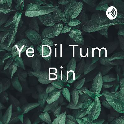 Ye dil tum bin