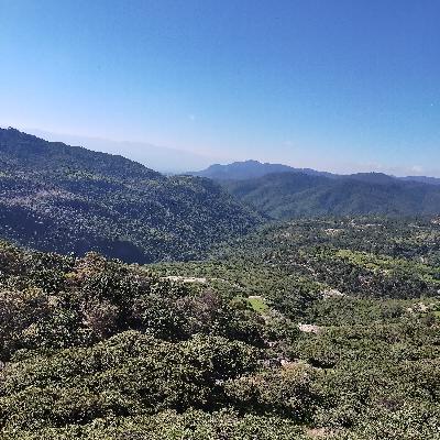 Búsqueda de ganado Búsqueda de ganado