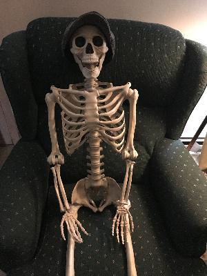 91-How to Dress a Skeleton