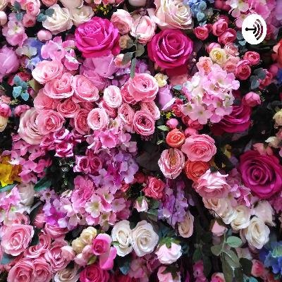 Entrevista a docente, abordando puntos generales sobre la mujer. Entrevista a docente, abordando puntos generales sobre la mujer.