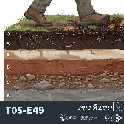 Edafología: la ciencia que pisas sin darte cuenta