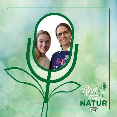 Schatzkammer Garten – Gemüse ernten & lagern