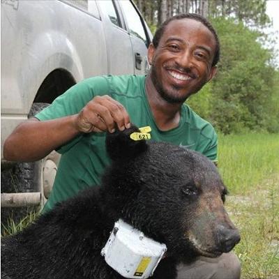 Bears and Beavers: Don Hardeman Bears and Beavers: Don Hardeman