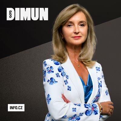 Klidná síla Moniky Novotné? Do čela advokátů chce žena, která nechce bouchat do stolu, ale politickou lekci už dostala