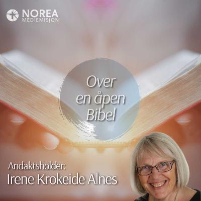 E2546 -5-Irene Krokeide Alnes - Guds ledende hånd