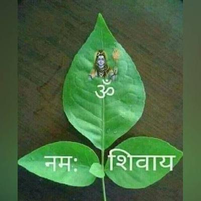 Episode 110 – 'The Sacred Bilva Leaf and the Night of Shiva' Episode 110 – 'The Sacred Bilva Leaf and the Night of Shiva'