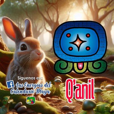 Ch'umilal Q'anil
