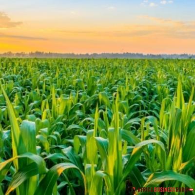 Upcoming Regional High Policy Dialogue on Transforming Agriculture Upcoming Regional High Policy Dialogue on Transforming Agriculture