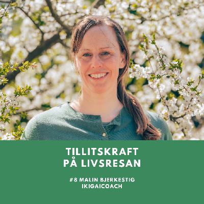 Bonusavsnitt där jag gästar podden Tillitskraft på livsresan