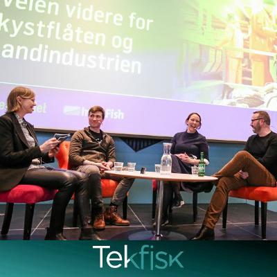 Hvordan skal kystflåten og landindustrien overleve?
