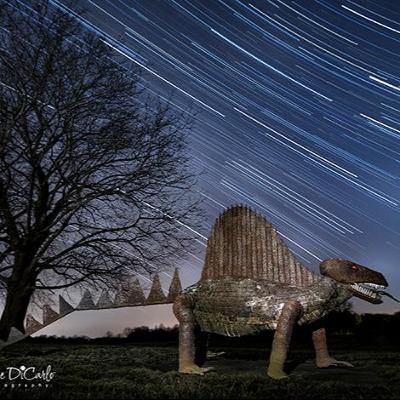 Star Trails Photography - Step by Step with Debbie DiCarlo