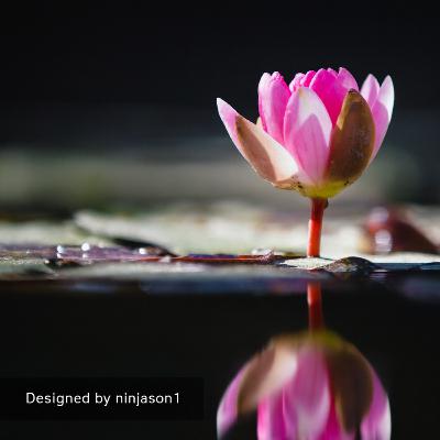 Heal from the Inside Out Series #32: Embrace Your Body's Ability to Heal