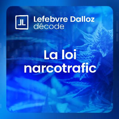 « C’est un permis de tricher ! »  A propos de la loi du 13 juin 2025 visant à sortir la France du piège du narcotrafic