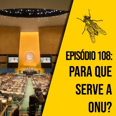 Para que serve a ONU? | A MOSCA | 0108