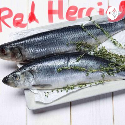 Episode #6 - tinkering and fixing... Episode #6 - tinkering and fixing...