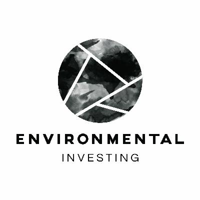 Artists And The Environment - Rebecca Miller